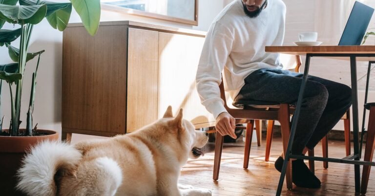 How Affiliate Marketing Can Work For You